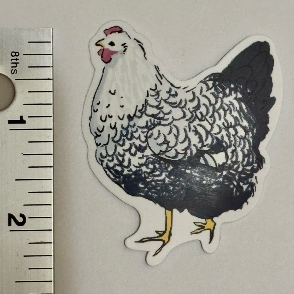 10/$10 Chicken Hen Aesthetic Vinyl Sticker Waterproof Water Bottle Laptop Crafts
